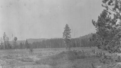 Photo text: 'Bear Valley bottoms along Elk Creek. The timber is lodgepole pine and red fir. Over 15,000 sheep were run in this valley this season. The altitude of the valley is 7,000 feet, too high for agricultural work.' This is image is part of a report on the proposed Sawtooth Forest Reserve by Hugh P. Baker, 1904.