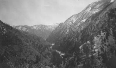 This image is part of a report by the United States Department of Agriculture Biological Survey on predation and pests.