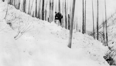 Photo text: 'Cecil Sanford, Cooperative, Kelly Creek, Season of 1935.' This image is part of a report by the United States Department of Agriculture Biological Survey on predation and pests.