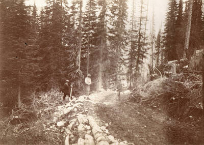Surveying wagon road from Lake Creek to Crooked River