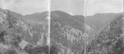 This image is part of a document titled 'Report upon the proposed Salmon River Forest and additions to Sawtooth, Bitterroot, and Lemhi Reserves, Idaho.' Collected by William T. Cox, 1904.