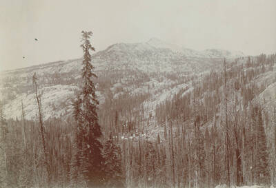A view from above the town of Buffalo and the Buffalo Hump.