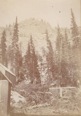 A cabin and slash pile at Lake Creek near Calendar, Buffalo Hump.