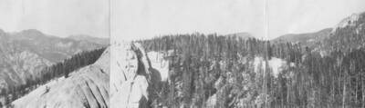 This image is part of a document titled 'Report upon the proposed Salmon River Forest and additions to Sawtooth, Bitterroot, and Lemhi Reserves, Idaho.' Collected by William T. Cox, 1904.
