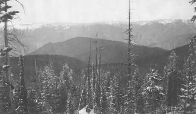 Photo text: 'Lodgepole in foreground.' This is image is part of a report on the proposed Payette Forest Reserve by R.E. Benedict, 1904.