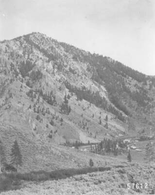 This image is part of a document titled 'Report upon the proposed Salmon River Forest and additions to Sawtooth, Bitterroot, and Lemhi Reserves, Idaho.' Collected by William T. Cox, 1904.