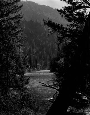 The middle fork of the Salmon River below Pistol Creek in the Salmon-Challis National Forest.