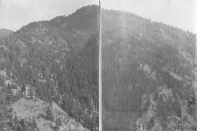 This image is part of a document titled 'Report upon the proposed Salmon River Forest and additions to Sawtooth, Bitterroot, and Lemhi Reserves, Idaho.' Collected by William T. Cox, 1904.