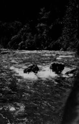 Two pack animals crossing Big Creek at the mouth of Monument Creek in Payette National Forest.
