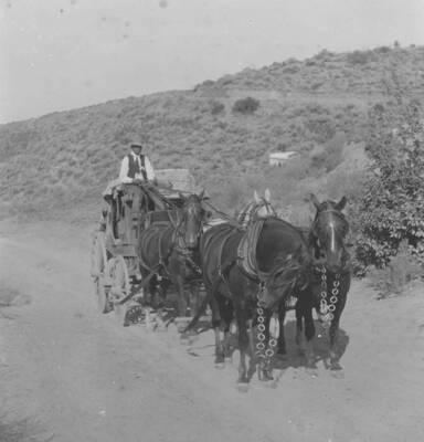 Photo text: 'Means of travel north and east of Boise City. These hills were formerly covered with open forest of the yellow pine and red fir and were brought to present condition by excessive lumbering, fire and sheep.' This is image is part of a report on the proposed Sawtooth Forest Reserve by Hugh P. Baker, 1904.