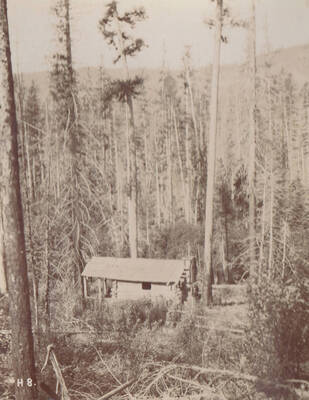Photo text: 'On road to Priest Lake from Priest River Station, two miles south of East River, Idaho.' Note: This image is part of a short series taken by Gifford Pinchot in Idaho's Priest River region.