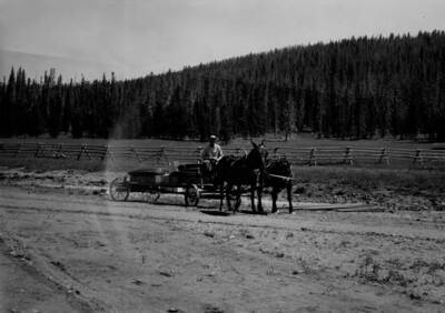 Photo text: 'Dub Horn on Wagon.'