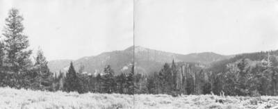 This image is part of a document titled 'Report upon the proposed Salmon River Forest and additions to Sawtooth, Bitterroot, and Lemhi Reserves, Idaho.' Collected by William T. Cox, 1904.