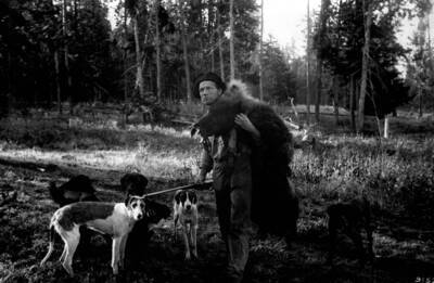 Photo text: 'Wallowa National Forest, Oregon. -- Forest service hunter bringing into camp the hide of a large grizzly bear killed near pasture.'