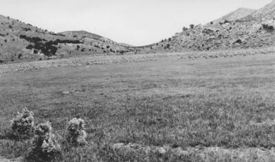 Project 138, Range revegetation, $2550. An amount of $350 was added under authority dated February 1, 1940. Project 100% complete. About 2565 acres reseeded consuming approximately 567 mandays. Soil Conservation Service furnished supervision, seed, and drills. CCC-ID furnished tractors, gasoline and oil, men and transportation.' Note: This image is part of a report by V.W. Balderson to Director of Indian Affairs, D.E. Murphy on CCC-Indian Division Projects completed by the Fort Hall Agency, Fort Hall, Idaho.