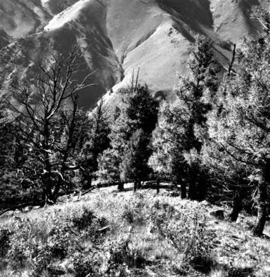 Photo text: 'June 22, 1964.'