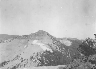 This image is part of a document titled 'Report upon the proposed Salmon River Forest and additions to Sawtooth, Bitterroot, and Lemhi Reserves, Idaho.' Collected by William T. Cox, 1904.