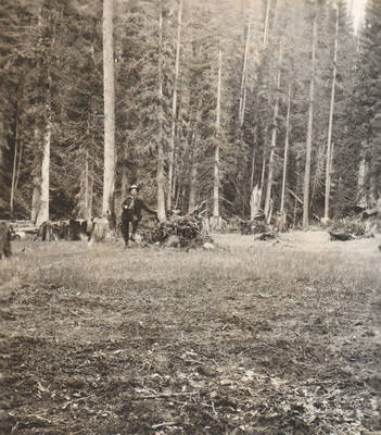 Photo text: 'Claeing on claim of William Staoddard. Level land is a narrow flat along banks of Marble Creek. Stoddard, it is said, sold his rights to scrip claimants with whom he was in contest.' Note: Marble Creek region homesteads at this time were often part of a homesteads fraud being documented by the US Forest Service.