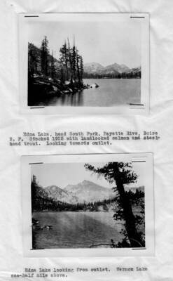 This image is part of a document titled 'Report upon the proposed Salmon River Forest and additions to Sawtooth, Bitterroot, and Lemhi Reserves, Idaho.' Collected by William T. Cox, 1904.