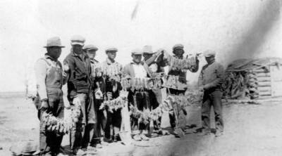 Photo text: 'Pocket gopher crew of the Fort Hall Indian Reservation with part of a day's catch.' This image is part of a report by the United States Department of Agriculture Biological Survey on predation and pests.
