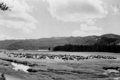 This image is part of a USFS series labelled 'American Guide'.