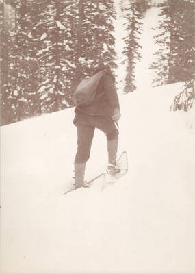 Photo text: 'Mail carrier to Buffalo Hump.'