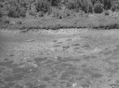 Aerial images of Bear Valley and March Creek 4