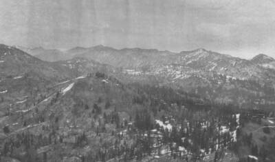Photo text: 'Lodgepole and balsam much damaged by old and repeated fires.' This is image is part of a report on the proposed Payette Forest Reserve by R.E. Benedict, 1904.