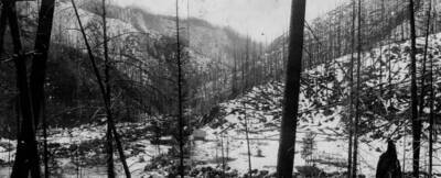 Bungalow Ranger Station site after Big Burn