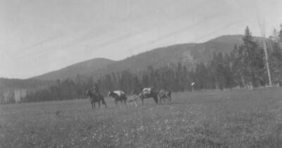 This is image is part of a report on lands found unsuitable for reserve purposes.