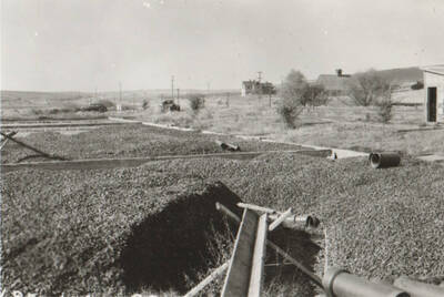 Note: This image is part of a Work Progress Administration publicity series.