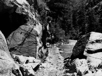 Photo text: 'Copy of image used in 1967 Forest Progress Report. Aug, 12, 1966.'