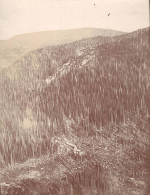 The Buffalo Hump Syndicate's saw mill near Lake Creek.