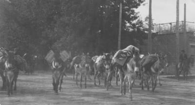 This is image is part of a report on the proposed Payette Forest Reserve by R.E. Benedict, 1904.