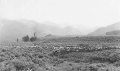 This is image is part of a report on lands proposed for addition to Sawtooth Forest Reserve by Gordon E. Tower, 1905.