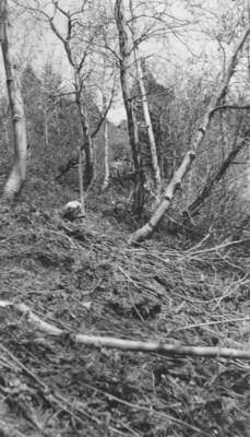 Mill Creek trail reconstruction work, before clearing.' Note: This image is part of a report by V.W. Balderson to Director of Indian Affairs, D.E. Murphy on CCC-Indian Division Projects completed by the Fort Hall Agency, Fort Hall, Idaho.
