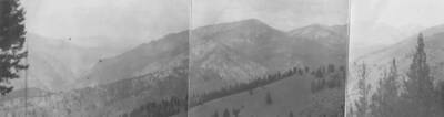 This image is part of a document titled 'Report upon the proposed Salmon River Forest and additions to Sawtooth, Bitterroot, and Lemhi Reserves, Idaho.' Collected by William T. Cox, 1904.