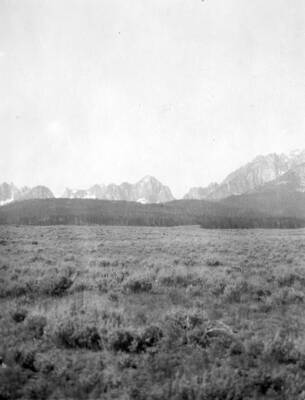Sagebrush bench with lodgepole forest and Sawtooth Range