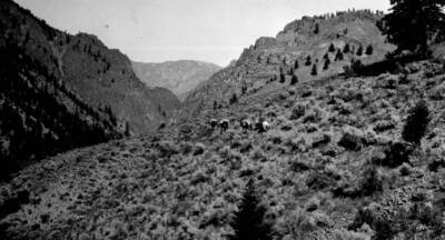 Photo text: 'Showing contrasts in type of country traversed by the Loon Creek Trail.'