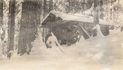 Photo text: 'Cabin on claim of Chas. O. portfours. Settlement alleged July 11, 1901. Residence 1902-1903-1904, 2 months each year. A cruiser by profession, and in employ of Clearwater Timber Company, a subsidiary of the Weyerhauser interests. Sold September 27, 1913 to Rutledge Timber Company, also a Weyerhauser concern. He lived at Orofino, Idaho, for a number of years, and previously resided at Troy, Idaho. Photo taken October 19, 1905, shortly after he offered filing.' Note: Marble Creek region homesteads at this time were often part of a homesteads fraud being documented by the US Forest Service.