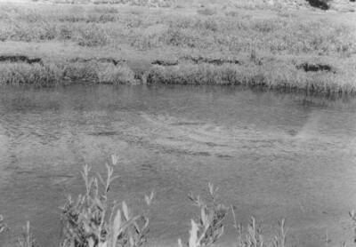 Aerial images of Bear Valley and March Creek 5