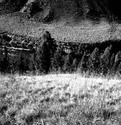 Photo text: 'Looking down ridge finger to Middle Fork approximately 1/2 miles from Mahoney Field. June 22, 1964.'