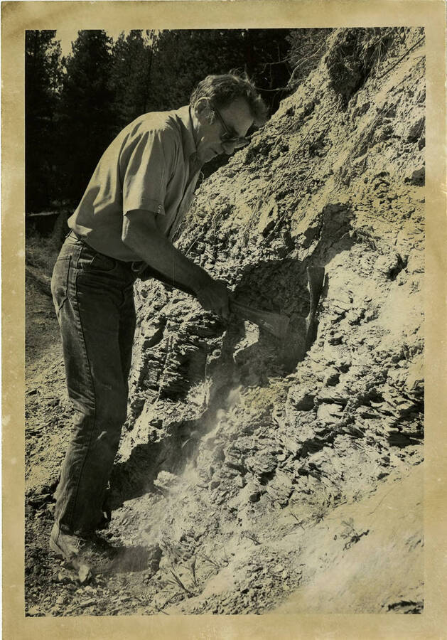 Jack Smiley at Clarkia fossil dig.