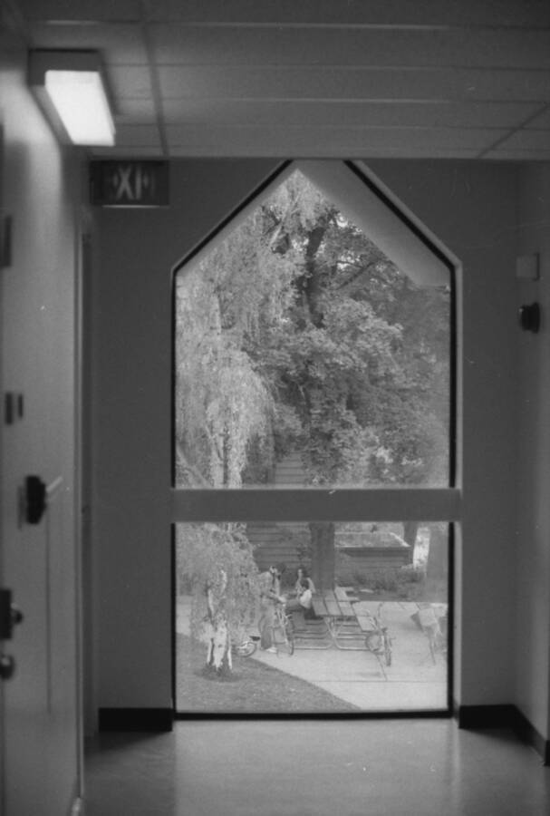 A view through a window of students congregating outside.