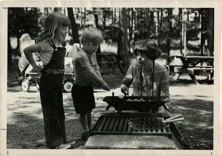 Children, 2 girls and 1  boy, roast marshmallows at a campsite.