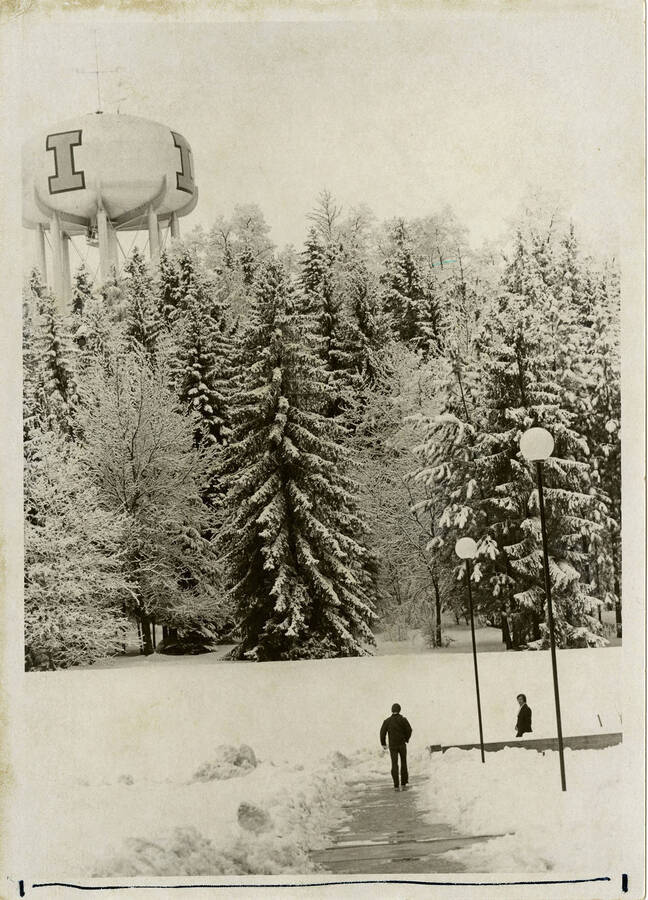 Snowy view of the University of Idaho water tower from the Shattuck Arboretum on the University of Idaho campus. Students tread through the snow.