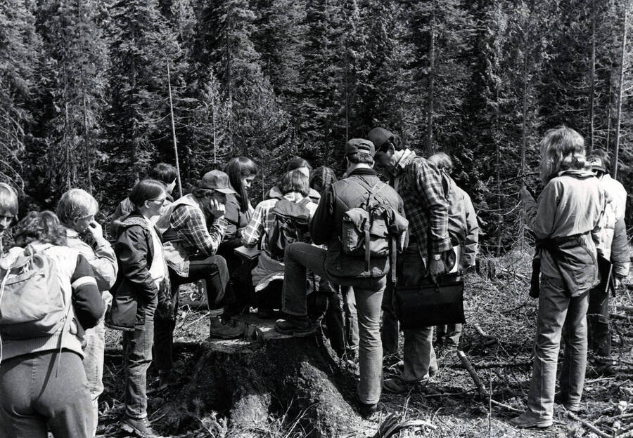 Students gathered around in a forest.