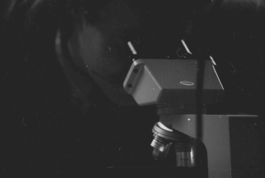 A person looking through a microscope.