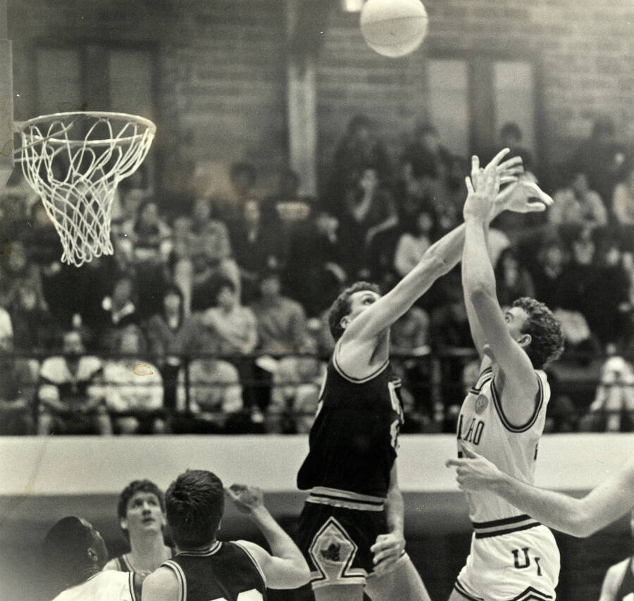 Vandals and the Portland State Vikings facing off during a basketball game.