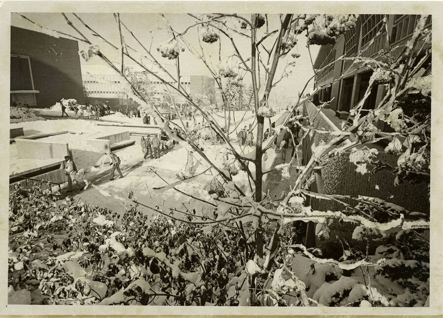 Students tread through snow in front of the University Classroom Center (now the Teaching and Learning Center) on the University of Idaho campus.